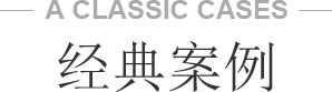 经典案例