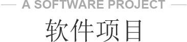 软件项目