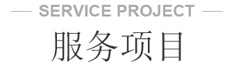 点金科技网站建设